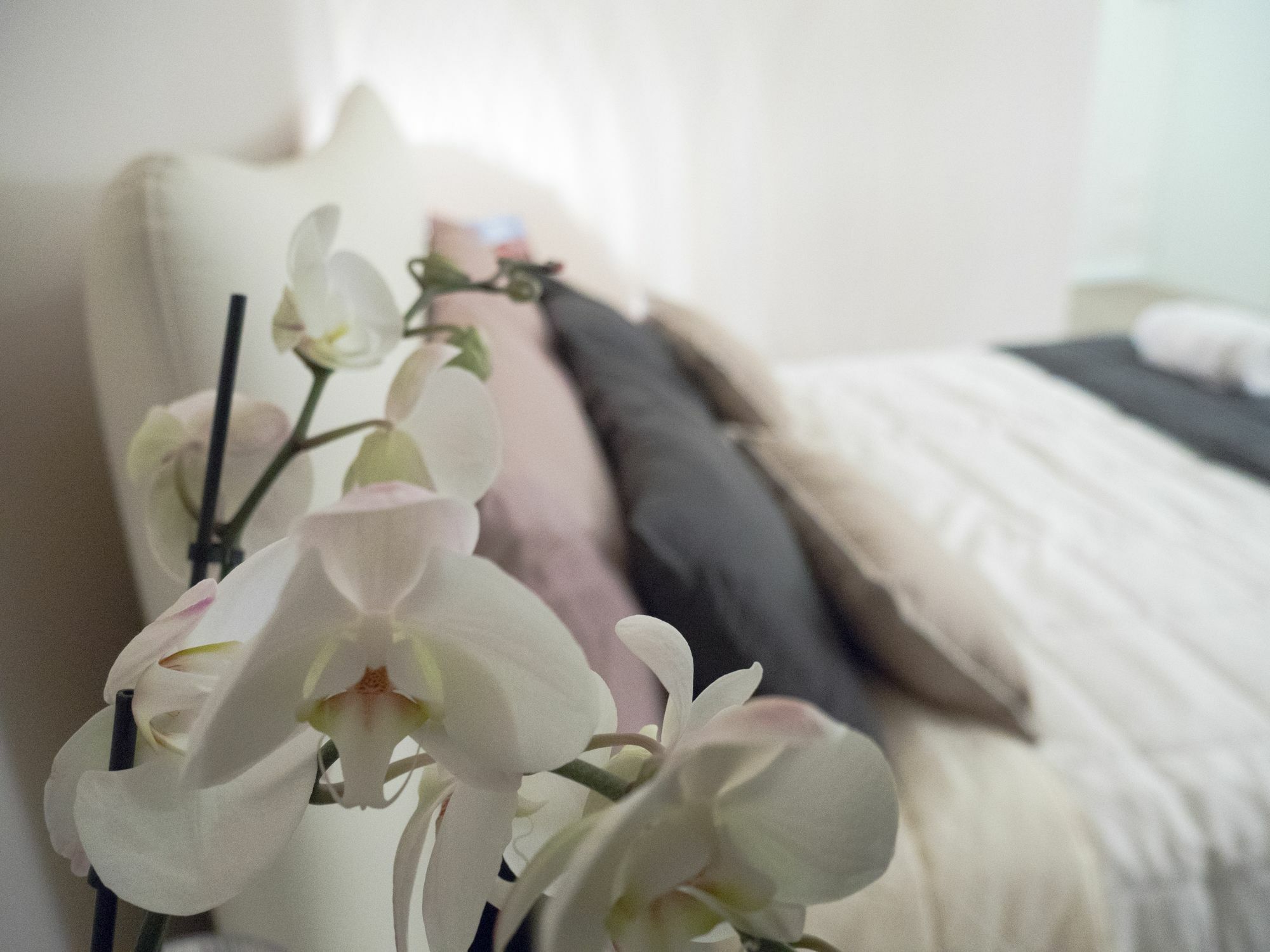 Relais Love فيرونا المظهر الخارجي الصورة